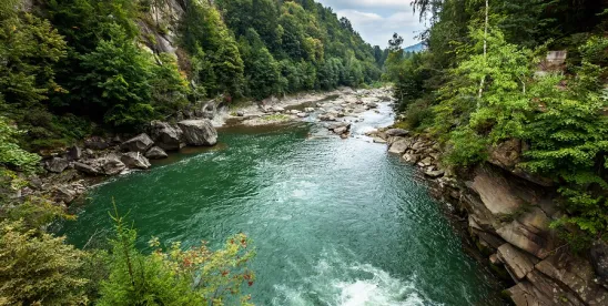 USDA and USFS Take Steps to Modernize NFS Hard Rock Mining Govern