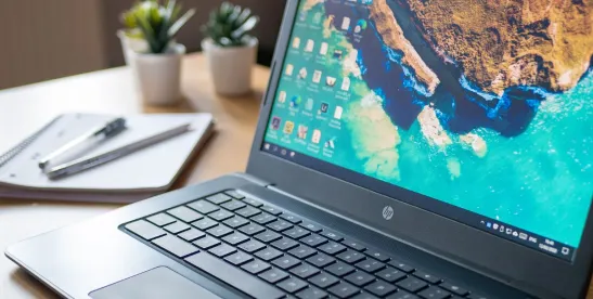 Fair Work Commission Decision on Remote-Work Accountability