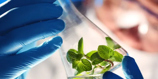 CDPR Proposes Rules to Harmonize Regulations of Pesticide-Treated