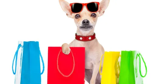 Italy To see “Pawternity” Leave!