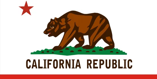 California Court Revives Tort Claims Against Loan Company