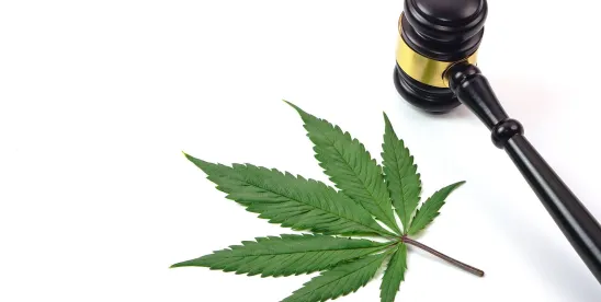 Virginia Governor Vetoes Recreational Cannabis Bills